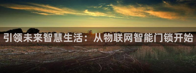 富联娱乐总代理怎么样：引领未来智慧生活：从物联网智能门锁开始