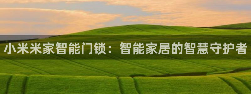 富联娱乐服务站：小米米家智能门锁：智能家居的智慧守护者