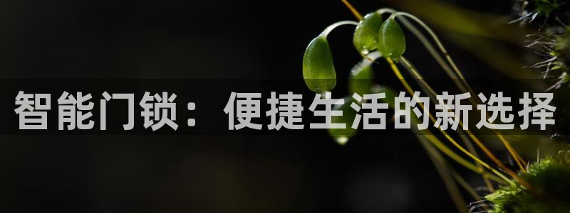 富联娱乐女团排名第几名：智能门锁：便捷生活的新选择