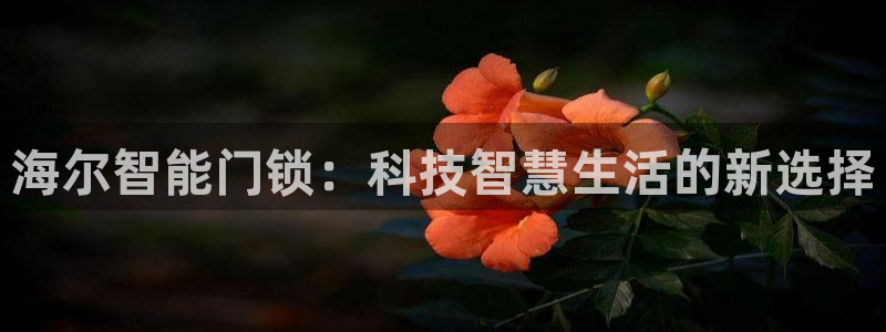 富联娱乐开户费用查询：海尔智能门锁：科技智慧生活的新选择