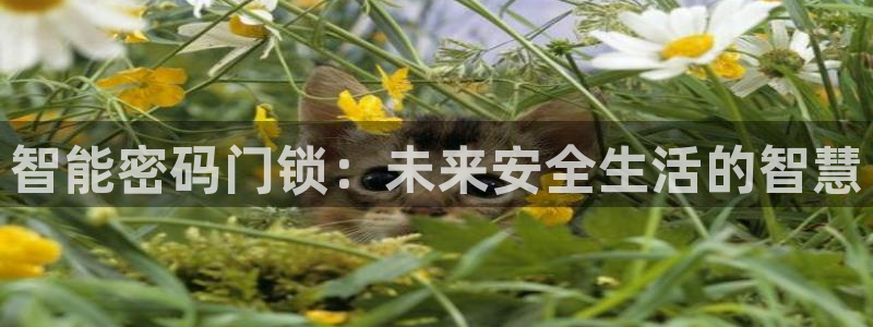 富联2娱乐贴吧最新消息：智能密码门锁：未来安全生活的智慧