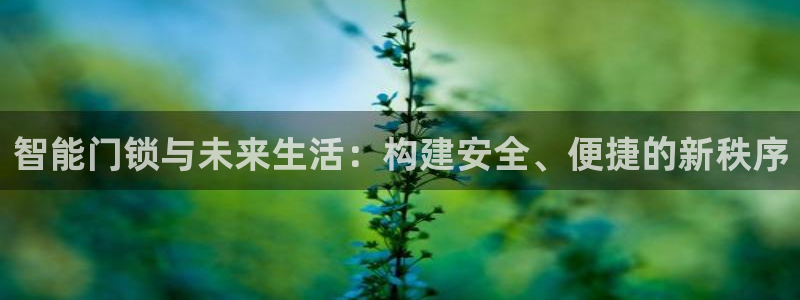 嘉峪关富联娱乐平台招聘：智能门锁与未来生活：构建安全、便捷的