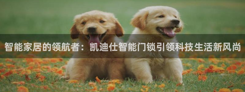 富联娱乐主营业务是什么：智能家居的领航者：凯迪仕智能门锁引领