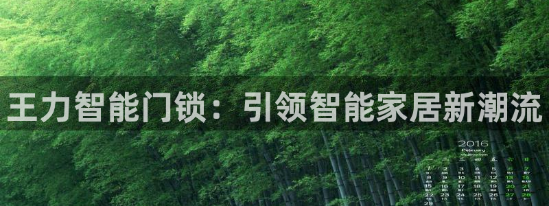 富联娱乐乞67五壹叁八：王力智能门锁：引领智能家居新潮流