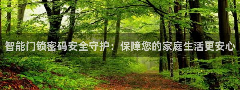 富联娱乐代理是谁：智能门锁密码安全守护：保障您的家庭生活更安