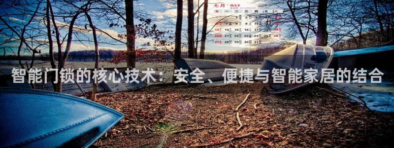 富联娱乐怎么样：智能门锁的核心技术：安全、便捷与智能家居的结