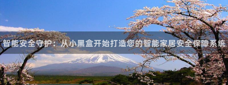 富联娱乐官方网站首页下载：智能安全守护：从小黑盒开始打造您的