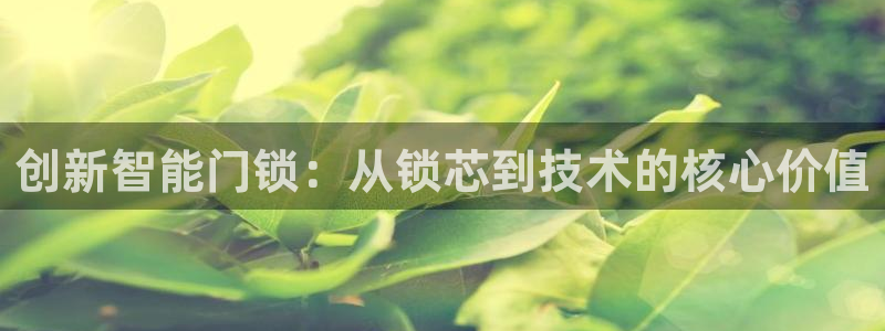 佰富联娱乐团购怎么样：创新智能门锁：从锁芯到技术的核心价值