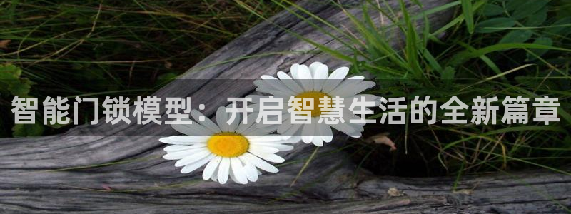 富联娱乐注册审判官333OO：智能门锁模型：开启智慧生活的全