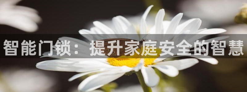 富联娱乐注册登录不上去：智能门锁：提升家庭安全的智慧