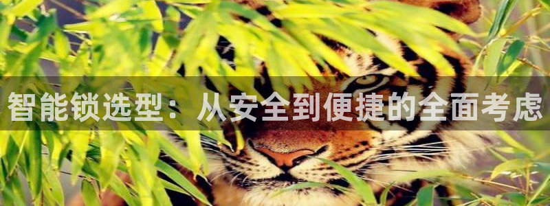 佰富联娱乐团购：智能锁选型：从安全到便捷的全面考虑