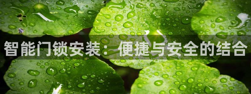 富联娱乐下载免费版安装：智能门锁安装：便捷与安全的结合