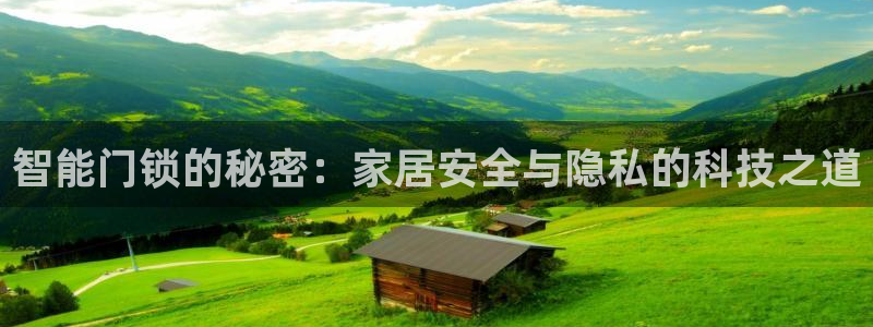 富联娱乐平台特点分析：智能门锁的秘密：家居安全与隐私的科技之