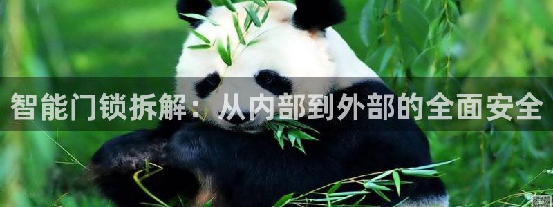 富联娱乐在线网站：智能门锁拆解：从内部到外部的全面安全