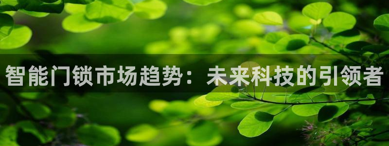 富联娱乐首页官网：智能门锁市场趋势：未来科技的引领者