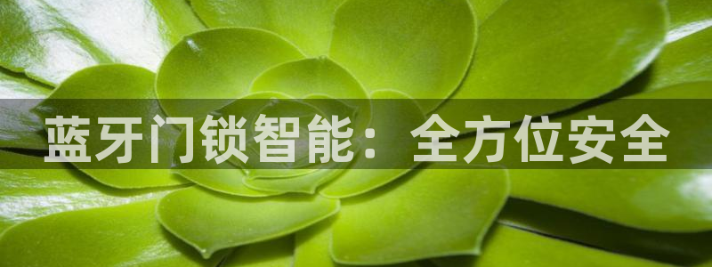 富联娱乐代理怎么做：蓝牙门锁智能：全方位安全