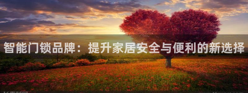 富联娱乐总代理是谁啊：智能门锁品牌：提升家居安全与便利的新选