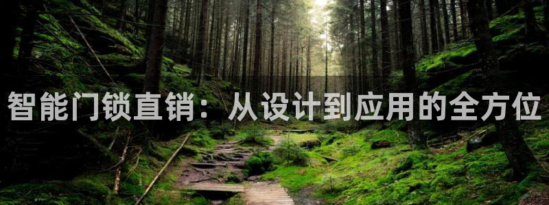 富联娱乐太究7276O：智能门锁直销：从设计到应用的全方位