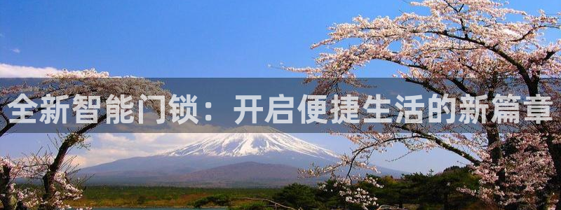 富联娱乐客户端：全新智能门锁：开启便捷生活的新篇章