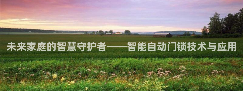 富联娱乐平台招商电话：未来家庭的智慧守护者——智能自动门锁技