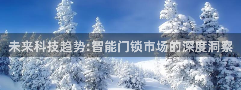富联娱乐官方网站下载手机版：未来科技趋势:智能门锁市场的深度