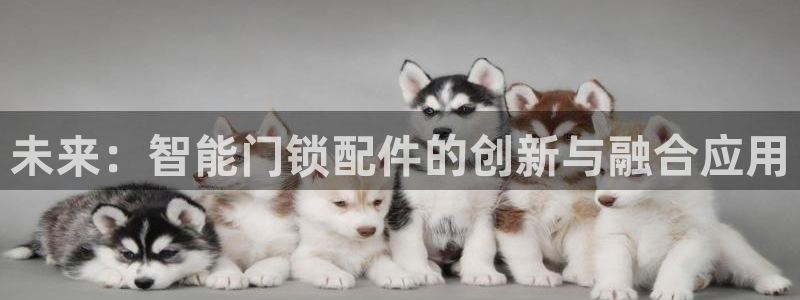 富联娱乐app官方下载最新版：未来：智能门锁配件的创新与融合