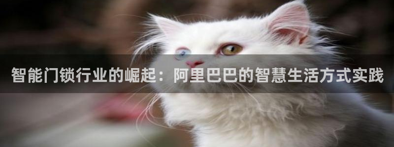富联娱乐最新消息今天：智能门锁行业的崛起：阿里巴巴的智慧生活