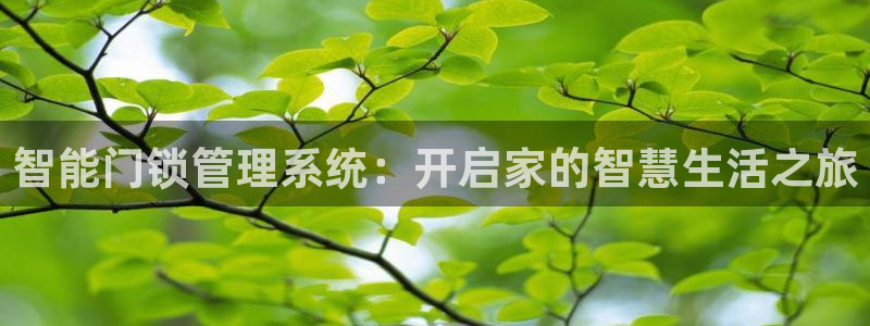 富联娱乐于67五壹叁八：智能门锁管理系统：开启家的智慧生活之