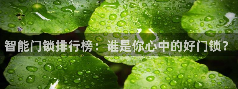富联2娱乐元哥微博号：智能门锁排行榜：谁是你心中的好门锁？