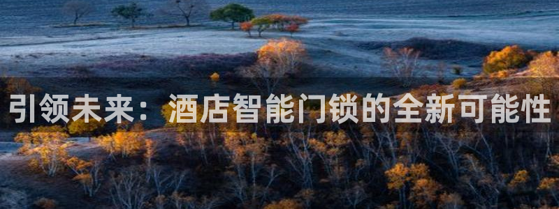 富联娱乐注册运唐老鸭779O3：引领未来：酒店智能门锁的全新
