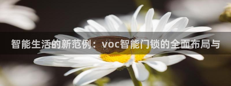 富联娱乐怎么样：智能生活的新范例：voc智能门锁的全面布局与