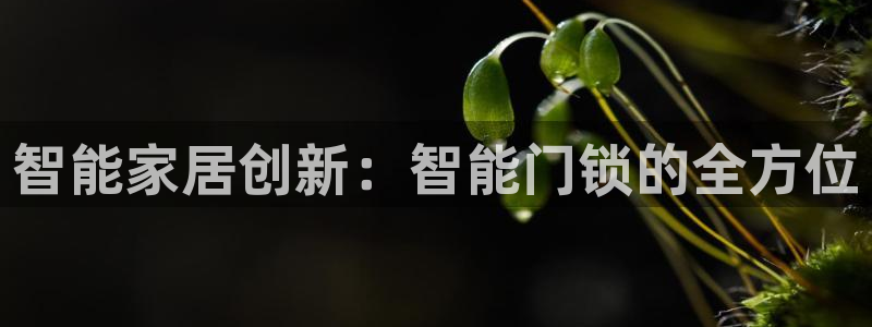 富联娱乐平台怎么样知乎：智能家居创新：智能门锁的全方位
