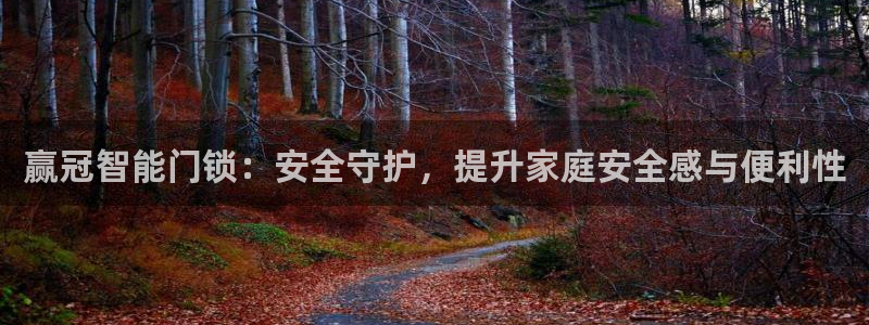 富联娱乐注册入判官333OO：赢冠智能门锁：安全守护，提升家