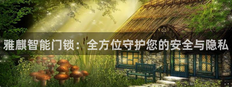 富联娱乐主管后原判官333OO：雅麒智能门锁：全方位守护您的