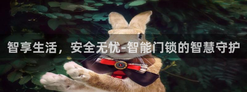 富联娱乐官网入口网址：智享生活，安全无忧-智能门锁的智慧守护