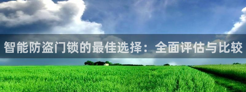 富联娱乐服务公司：智能防盗门锁的最佳选择：全面评估与比较