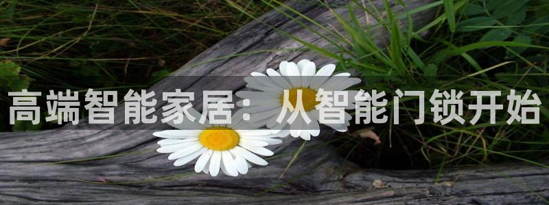 富联娱乐官网首页下载：高端智能家居：从智能门锁开始