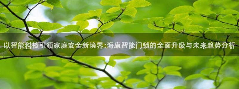 富联娱乐开户费用查询：以智能科技引领家庭安全新境界:海康智能
