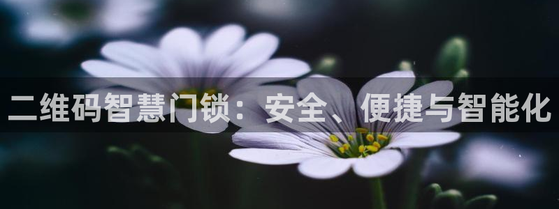 富联娱乐解究7276O：二维码智慧门锁：安全、便捷与智能化
