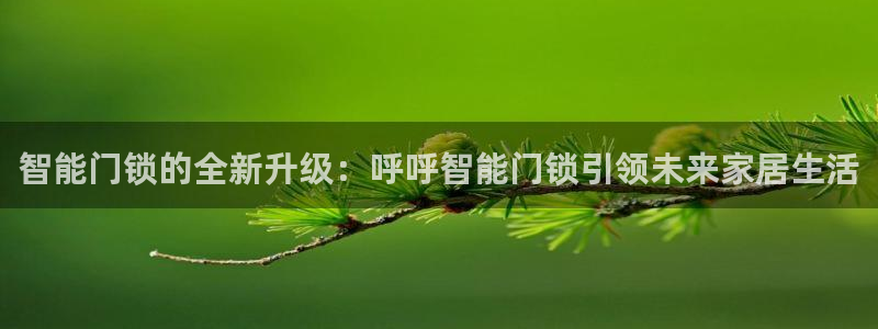 富联娱乐登录网址：智能门锁的全新升级：呼呼智能门锁引领未来家