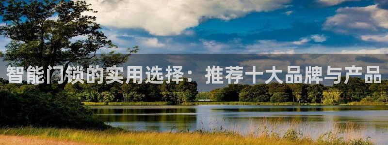 富联娱乐官网下载：智能门锁的实用选择：推荐十大品牌与产品