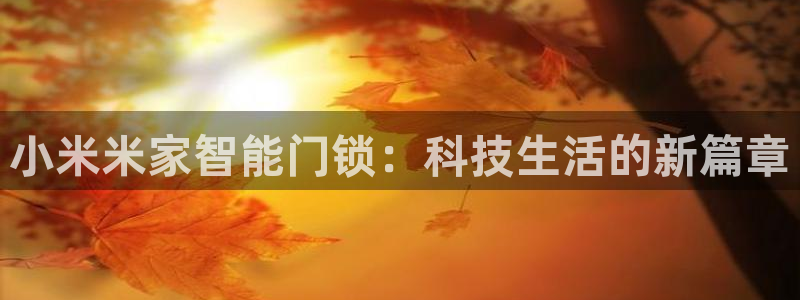 富联娱乐下载：小米米家智能门锁：科技生活的新篇章
