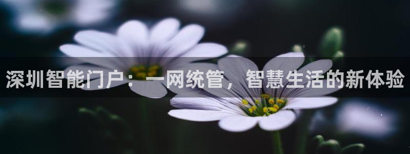 佰富联娱乐团购怎么样：深圳智能门户：一网统管，智慧生活的新体