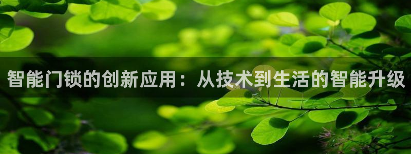 富联娱乐app官方下载最新版：智能门锁的创新应用：从技术到生