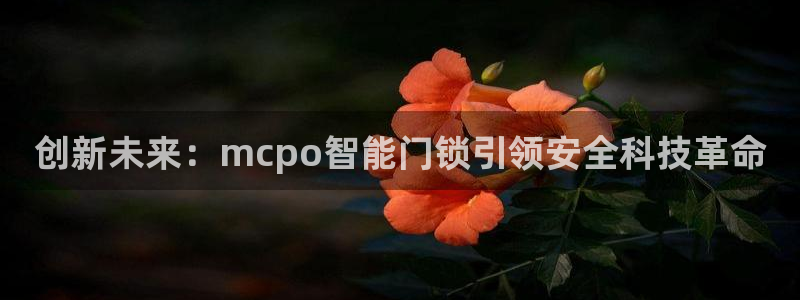 富联娱乐招商型判官333OO：创新未来：mcpo智能门锁引领