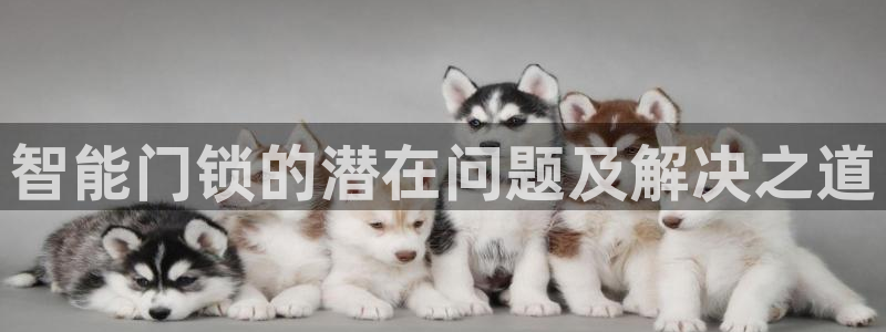 富联娱乐平台登录不上去：智能门锁的潜在问题及解决之道