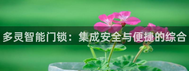 富联娱乐主管方判官333OO：多灵智能门锁：集成安全与便捷的