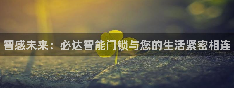 富联娱乐下载免费版安装：智感未来：必达智能门锁与您的生活紧密