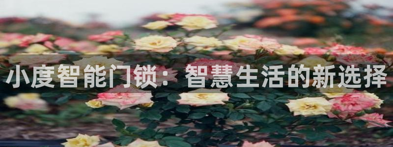 富联娱乐资讯：小度智能门锁：智慧生活的新选择