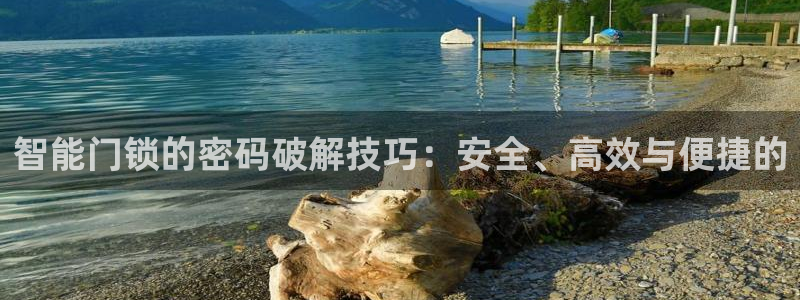 富联娱乐女团有哪些人：智能门锁的密码破解技巧：安全、高效与便